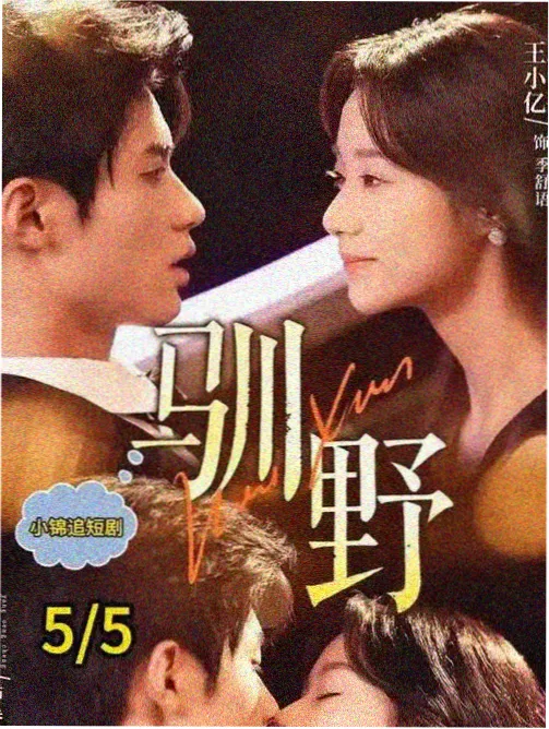 我是特种兵剧集海报